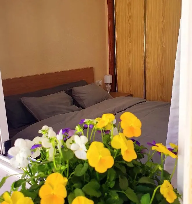 Isamar Apartamento Playa Del Cura-1
