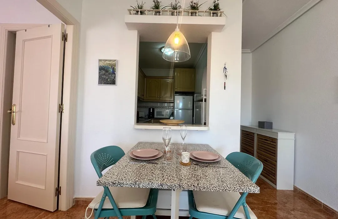 Homely Apartments San Pascual-1