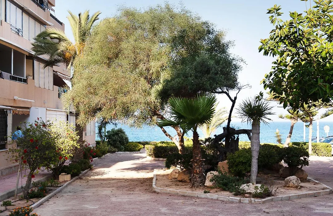 Maison Miramar Cabo Cervera-1
