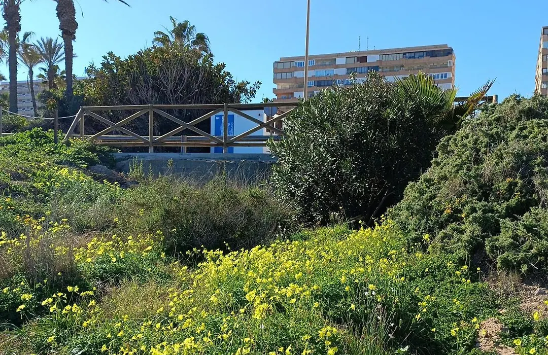 Apartamento Miramar-1