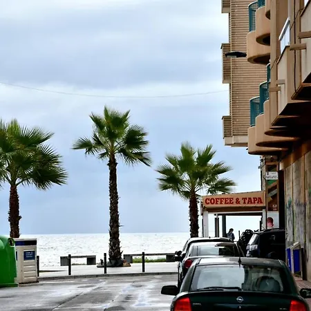 Estudio Gato Del Mar-2