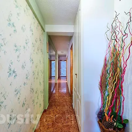 Stefy House-2