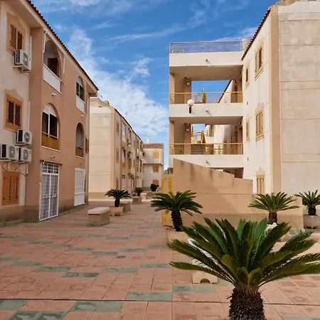 "Vero Vijola" In Torrevieja-3
