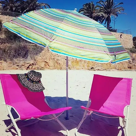 Cosy Studio Apartment In Torrevieja-3