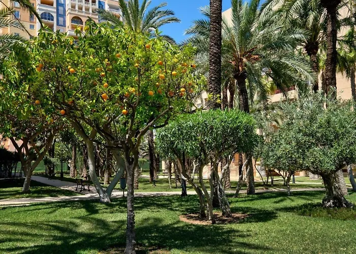 Apartamento Casa del Buho Torrevieja