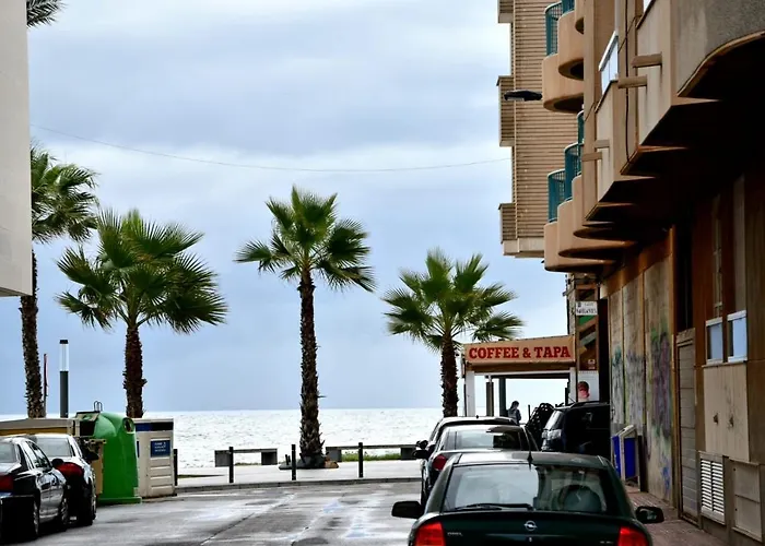Estudio Gato del mar Torrevieja