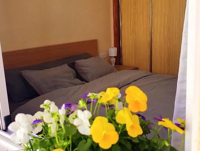 Isamar Apartamento Playa del Cura Torrevieja
