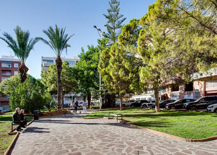 Studio Galera Torrevieja