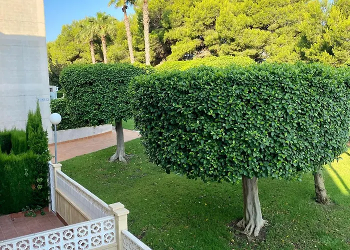 Torrevista Three Bedroom Apartment, Two Swimming Pools And Garage Torrevieja