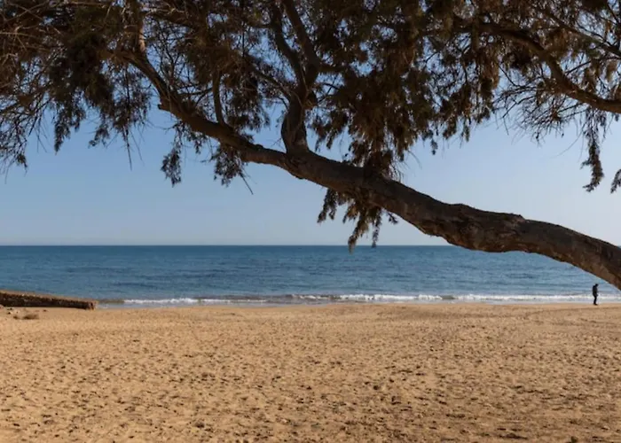 Small Apartment Torrevieja