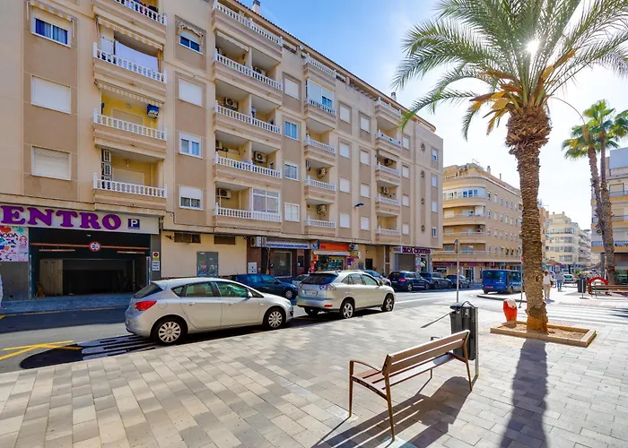 ESTUDIO Caballero de Rodas Torrevieja