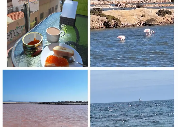 Nice Apartment With Terrace On The Los Locos Beach Torrevieja