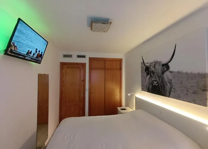 Apartment To Rent In Costa Blanca Torrevieja