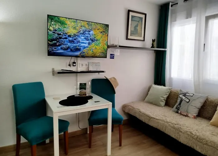 Studio Green Rabbit Torrevieja