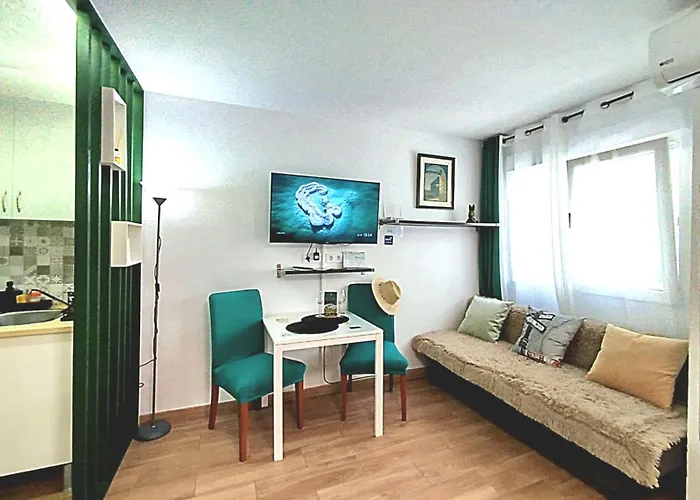 Studio Green Rabbit Torrevieja