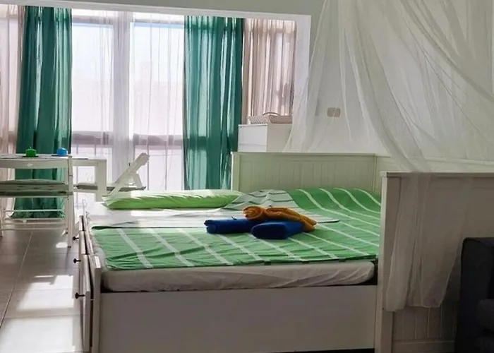 Cosy Studio Apartment In Torrevieja