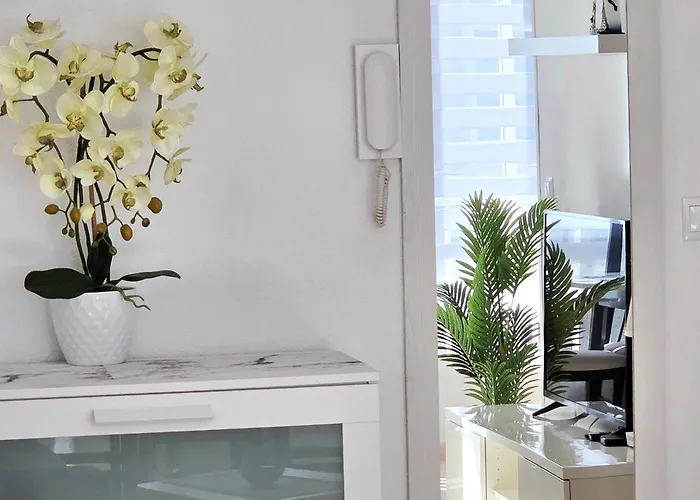 Apartments near Del Cura&Los Locos beaches Torrevieja