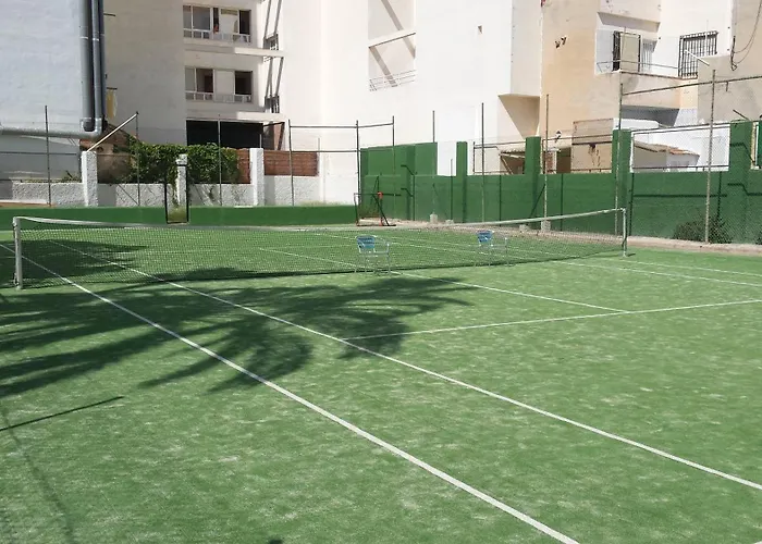 Palmeral de Torrevieja