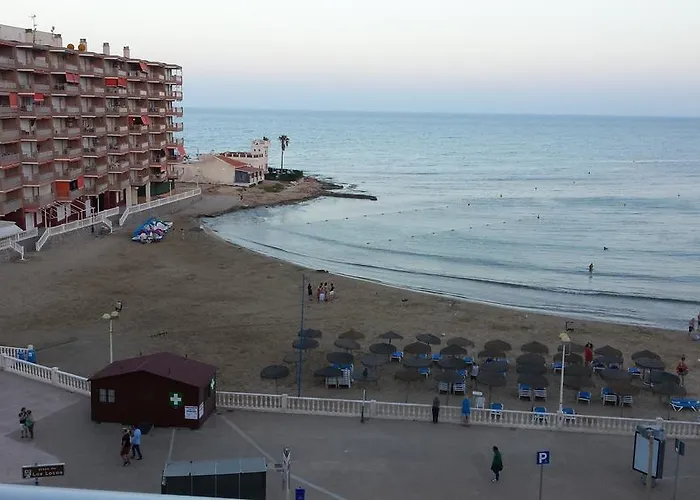 Palmeral de Torrevieja