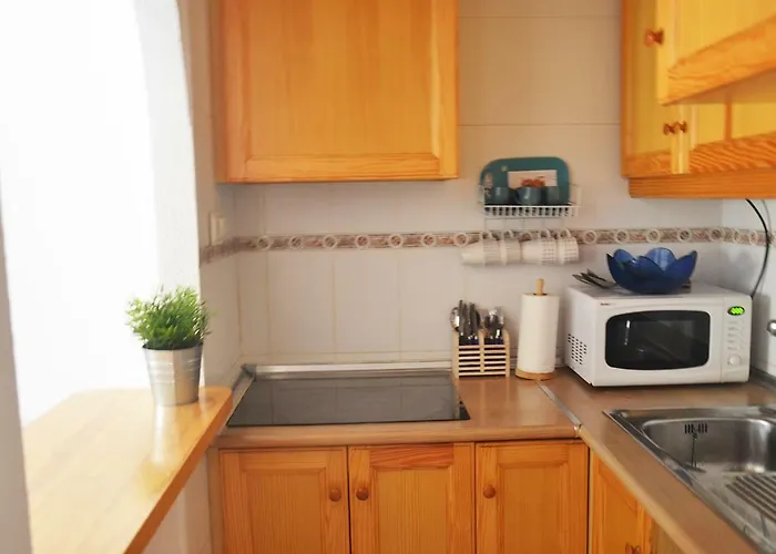 Pretty Studio With Swimming Pool Torrevieja